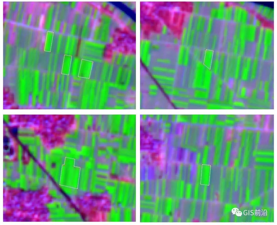 基于Sentinel-2（哨兵2）的杞县大蒜提取试验