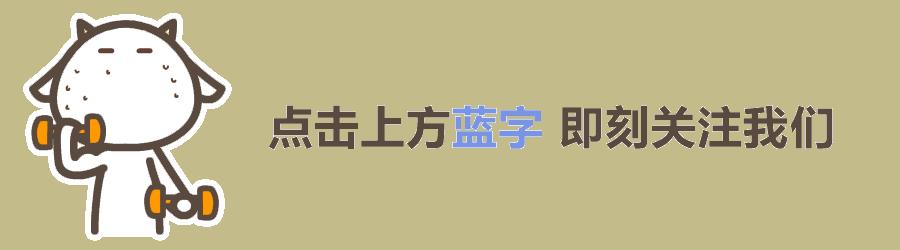 国际商业智能化数据信息平台