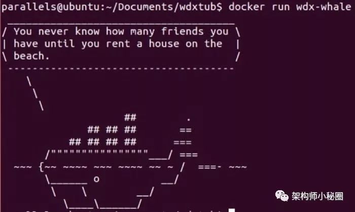 架构师分享 Docker 新手入门完全指南