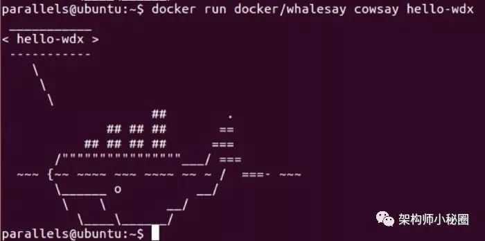 架构师分享 Docker 新手入门完全指南