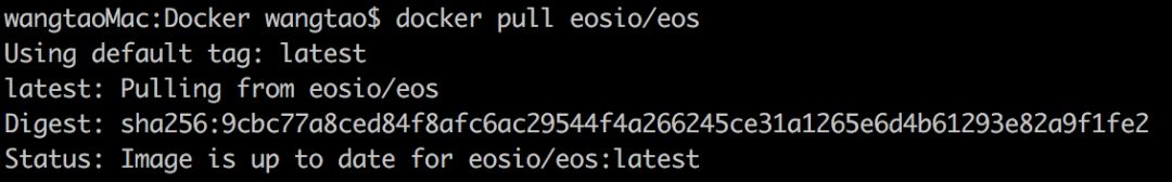 EOSIO开发（一）使用Docker构建本地环境