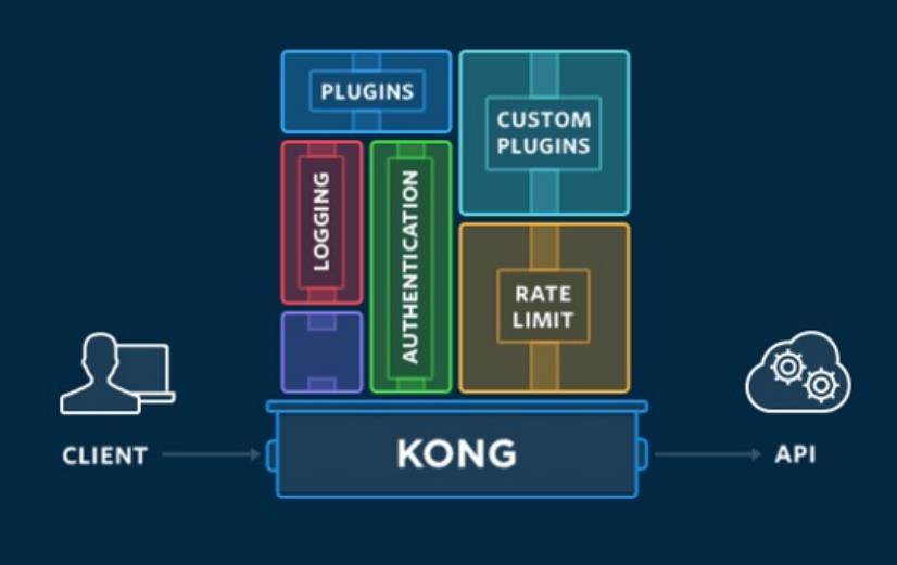 开源API网关Kong基本介绍和安装验证