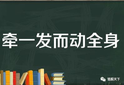 干货 | 论Elasticsearch数据建模的重要性