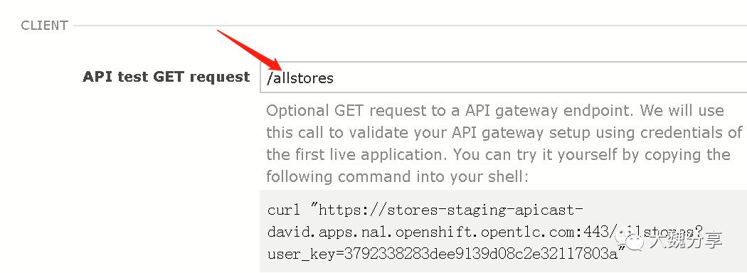 技术派：谁说API网关只能集成REST APIs？