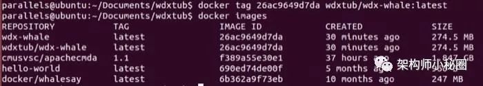 Docker 完全指南