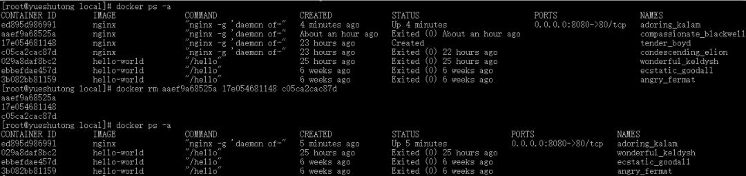 Docker极简教程【初识】