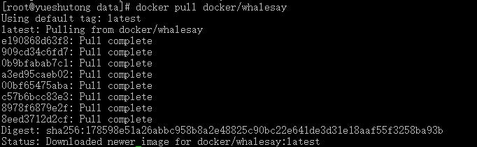 Docker极简教程 【高级】