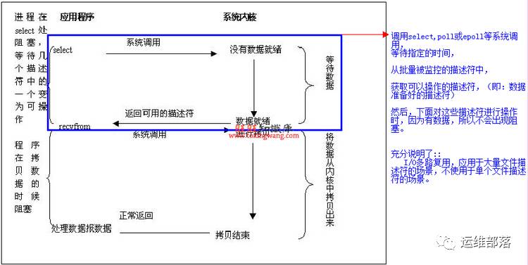 【多图预警】面试官：请问Nginx为什么比Apache性能好