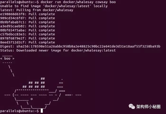 架构师分享 Docker 新手入门完全指南