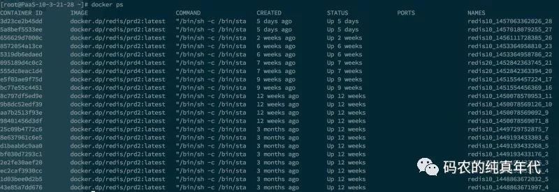 Redis-Docker集群的一次踩坑记录