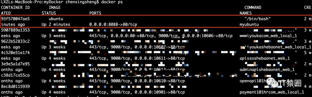 mac OS中使用docker安装ubuntu+lnmp