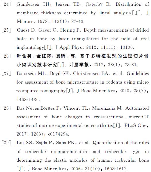 图像识别技术在骨质疏松诊断中的应用