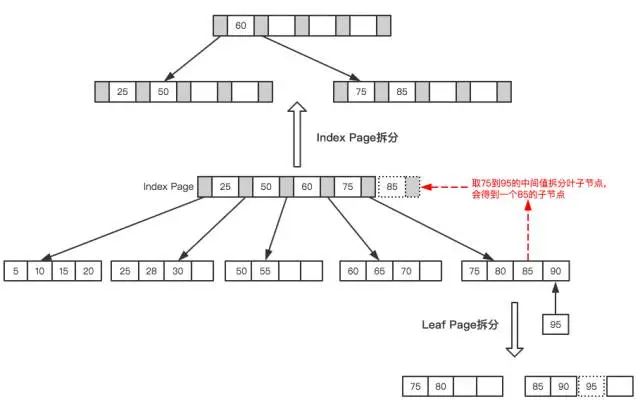 必须掌握的 MySQL 优化原理