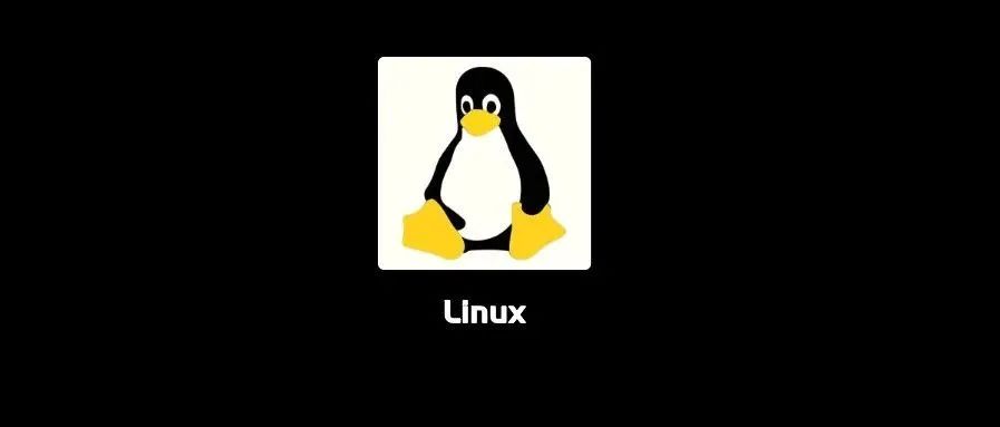 搞定 Linux 这一篇就特么够了！