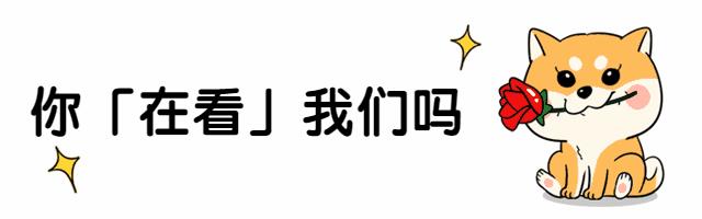 自动化拦路虎之验证码OCR图像识别技术大揭秘（视频教程+安装包）