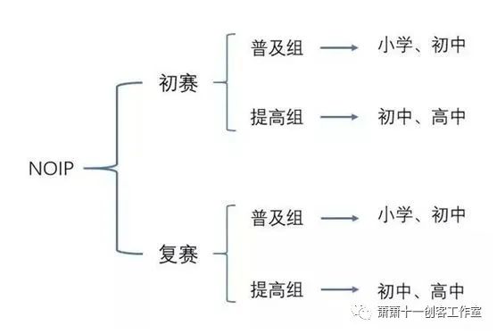 全面解读信C++息奥赛