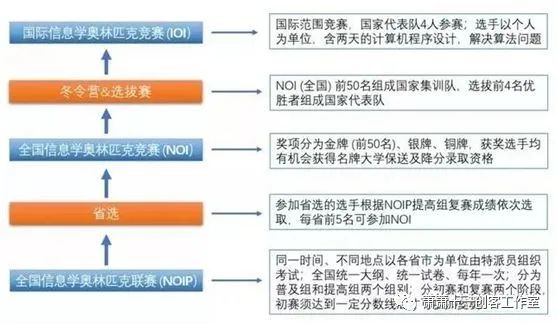 全面解读信C++息奥赛