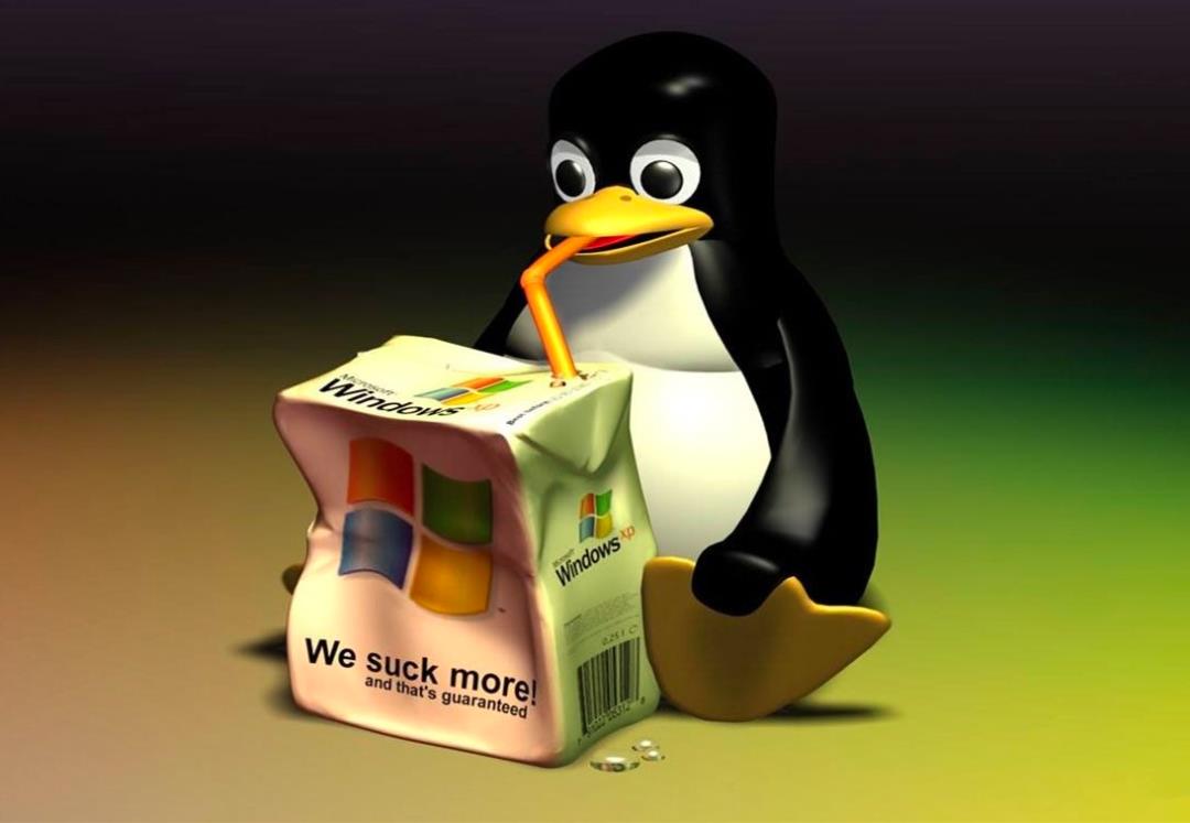 搞定 Linux 这一篇就特么够了！