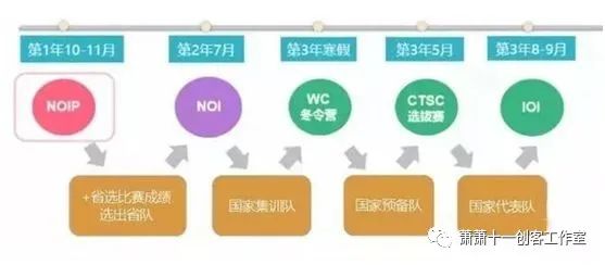 全面解读信C++息奥赛