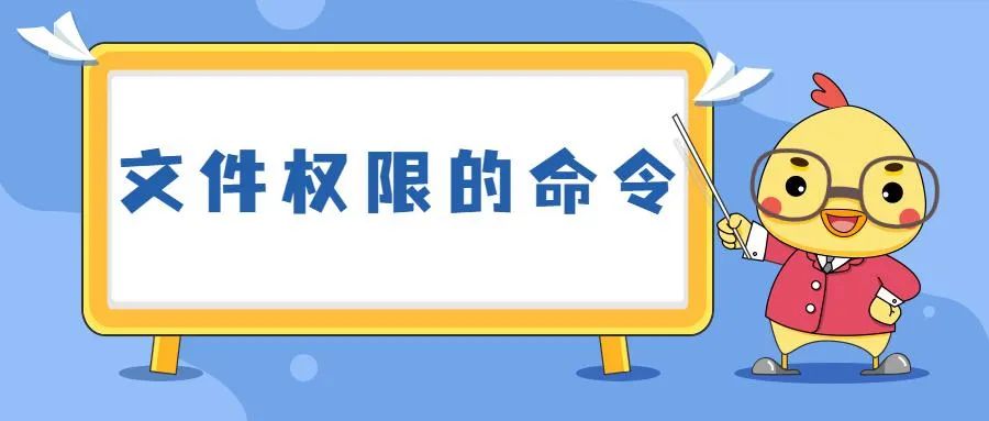 聊聊Linux命令背后，你不知道的小秘密