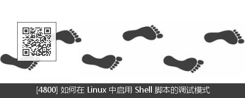 如何在 Shell 脚本中跟踪调试命令的执行