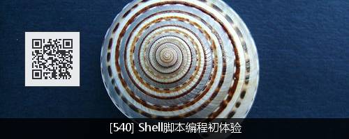 shell 脚本之始