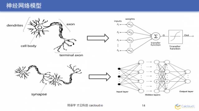 直播实录｜大牛教你如何用 TensorFlow 亲手搭建一套图像识别模块