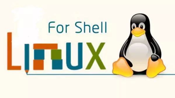 超级干货！Linux shell脚本教程免费送给你！