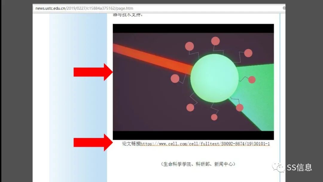 （一）搜索引擎简介及高级搜索方法