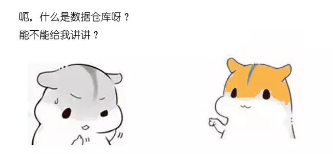 漫画：什么是数据仓库？