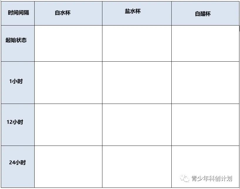 STEAM科学实验：模拟海洋酸化对贝类生物的影响实验