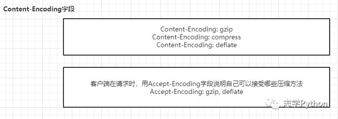 网络基础HTTP协议进化篇