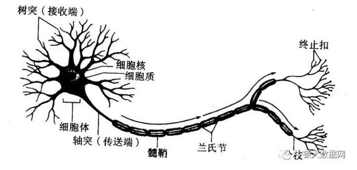 使用TensorFlow训练游戏Flappy Bird