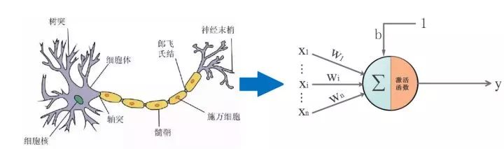 AI从入门到放弃：BP神经网络算法推导及代码实现笔记