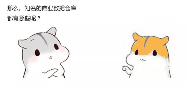 漫画：什么是数据仓库？