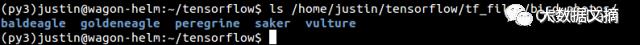 Linux上TensorFlow的深入研究：构建一个低成本、快速、精准的图像分类器