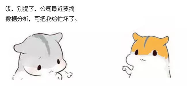 漫画：什么是数据仓库？