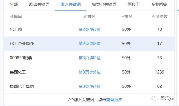 鲁西集团企业网站搜索引擎优化诊断报告