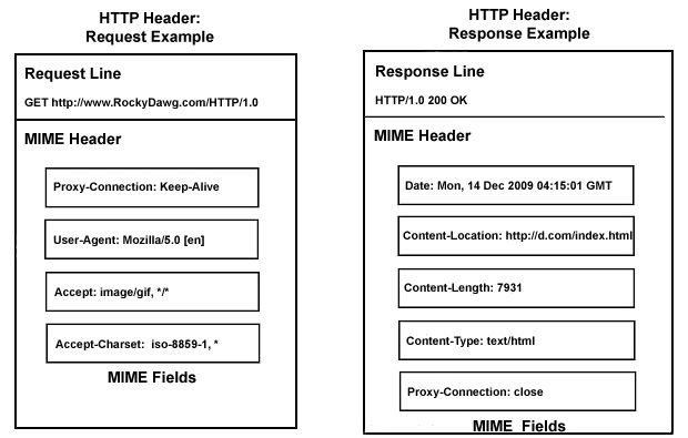 Java 架构师眼中的 HTTP 协议