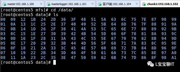 MFS搭建分布式文件系统