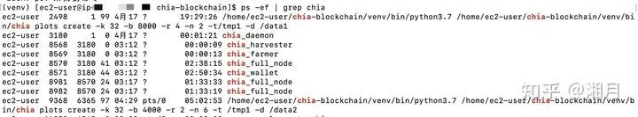 AWS/阿里云Chia挖矿，哎，就是玩儿。