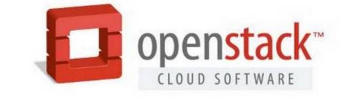 多元化的未来，OpenStack的铮铮前行