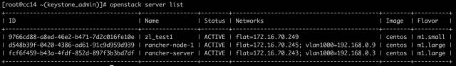 技术漫谈 | 基于Openstack的Rancher扁平网络