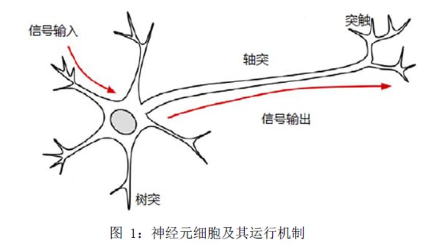 机器学习算法简介（5）人工神经网络算法