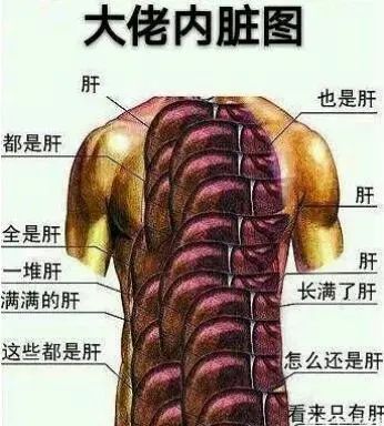 Steam好评如潮！《戴森球计划》销量破20万套，成开年黑马