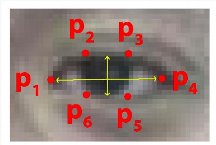 教你快速使用OpenCV/Python/dlib进行眨眼检测识别！