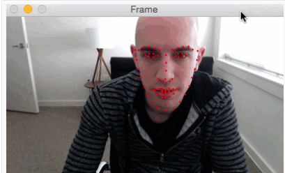 教你快速使用OpenCV/Python/dlib进行眨眼检测识别！