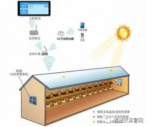 农业物联网：智慧鹌鹑养殖系统监控管理解决方案