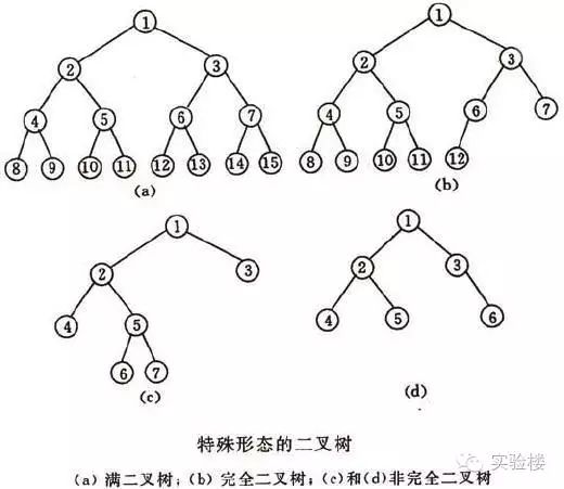 常见数据结构与算法整理总结（上）