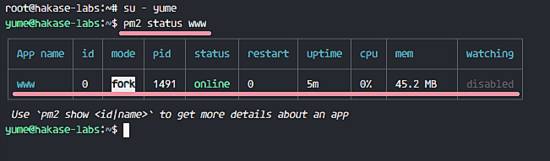 如何在 Ubuntu 上使用 pm2 和 Nginx 部署 Node.js 应用